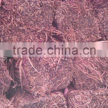 Water Hyacinth Fiber _ Qiu Qiu : 2598494113 photo-5