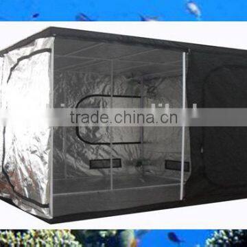 240x240x200cm/8'x8'x7'8" 600D indoor grow mushroom grow room
