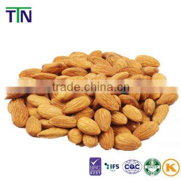 TTN 2015 Xinjiang Chinese Almond Nut Almond Kernel Almond Price