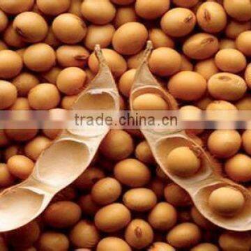 Isolated Soy Protein Chopping Type