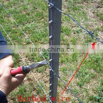 Fence T Post for American Market photo-4