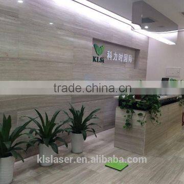 KLSi 808/810nm Diode Laser Hair Removal Beauty Equipment photo-6