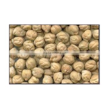 Protein Chickpeas Supplier