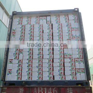 Hot ! Wholesale 4500g Canned Tomato Paste photo-5