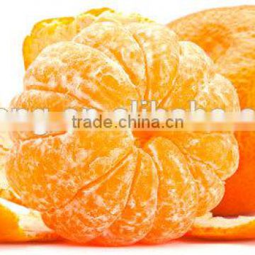 New crop fresh mandarin orange with good quality and cheaper price