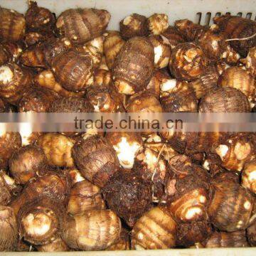 wholesale market quality fresh taro