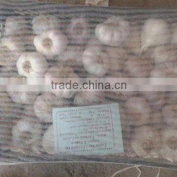 Garlic ( White - Red ) High Quality photo-6