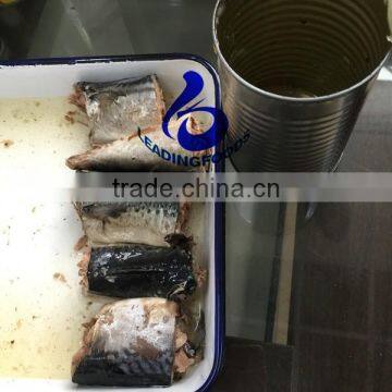 Best China Manufacturer Instant Canned Mackerel in Brine