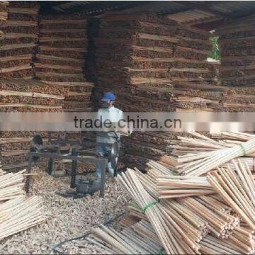 Wood Core Stick - Natural Dried for Agriculture Purpose photo-2