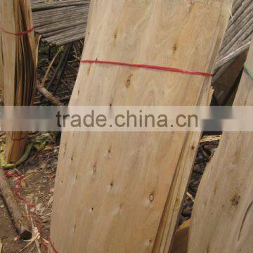 ACACIA CORE VENEER FROM THUAN PHAT VIETNAM