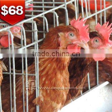 TA NO.1 automatic drinking design kenya chicken cage