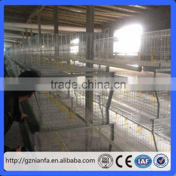 Canton Fair Chicken Layer Cage and Poultry Equipment Supplier Manufacturer (Guangzhou Factory) photo-4
