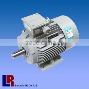 AC electric motor