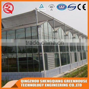 Glass greenhouse with high quality steel frame for agriculture trap