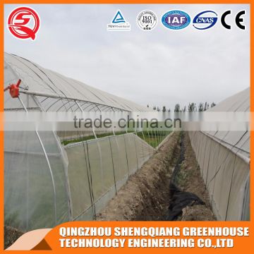 China plastic tunnel greenhouse agriculture steel frame for vegetable