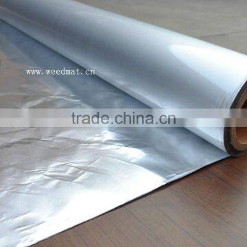 Pet al pe Laminated Foil photo-4