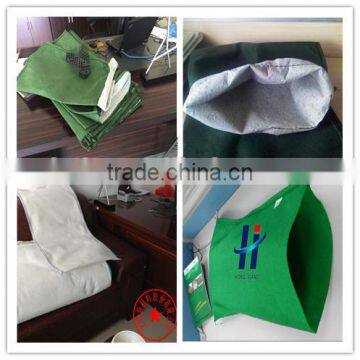 Thermally bounded non-woven bag with seed