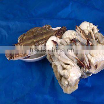 frozen crab