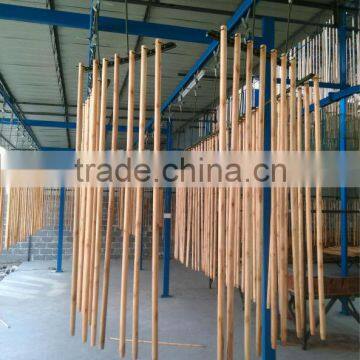 Eco-friendly eucalyptus painting wooden mop stick with top quality