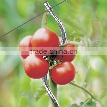 galvanized growing spiral for climbing plant