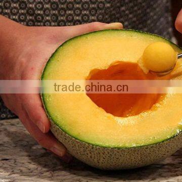 ST-2438 Stainless Steel Fruit Digging Spoon and Fruit Carving photo-4