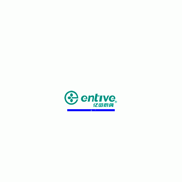 Zhejiang Entive Electric Co., Ltd.