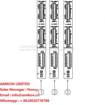 Bently Nevada 133442-01 Tachometer I/O Module【Factory seal】