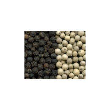 Black pepper and white pepper