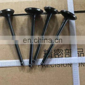 LGH10029 Engine Intake Valve SAIC Motor Model Roewe 1.8T photo-2