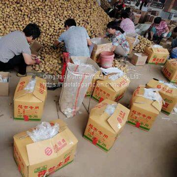 Fresh Potato photo-3