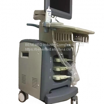 Trolly Color Doppler System Ultrasound Scanner