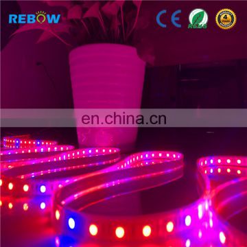 2018 Newest Vertical Custom Smd Hydroponic Systems Greenhouse Full Spectrum Strip Led Grow Light Rope For Plant