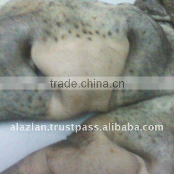 Frozen Lips/ Fresh Buffalo Red Meat