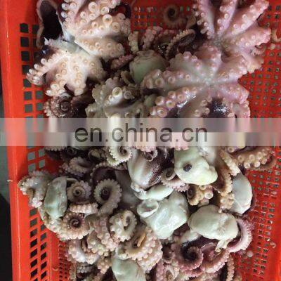 Best Selling Seafood Snacks Frozen Roasted Octopus Ball photo-4