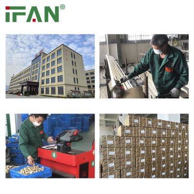 IFAN Factory Supply Water Tube Plumbing Fitting Copper Plug Brass Pipe Fittings Copper Female Thread Brass Fitting photo-5