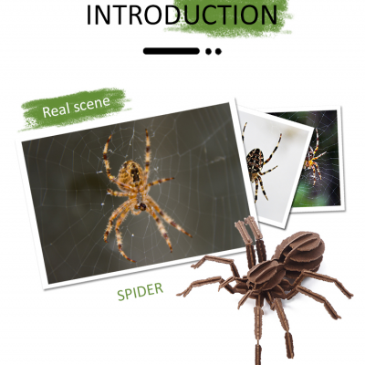 Custom 3D Spider Cardboard Puzzle Toys- DIY Animal Self-Assembling Model Paper Craft Kit photo-3