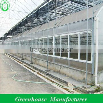 Multi-span Agricultural Greenhouses