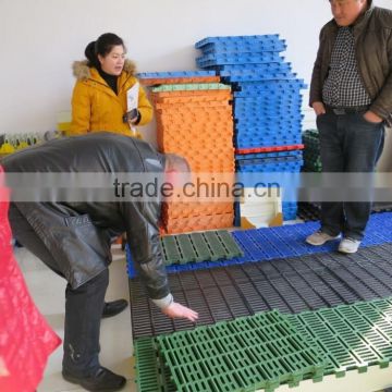 Professional manufacturer of pig flooring for pig farrowing crate / pig farming