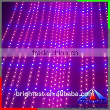 IP65 Soft Glue Led Grow Strip, 5050 Led Grow Strip Plant, Smd3528 Led Grow Strip Light photo-3