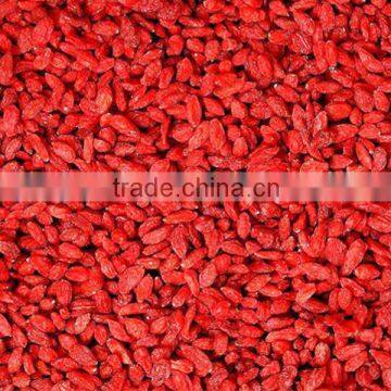 Super China Natural Herb Medicines Dried Fruit Tea Gouqizi Relieve Cough Dried Wolfberry Medlar Herbal Tea photo-3