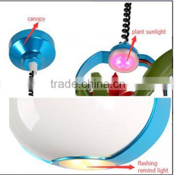 LED decoration light with plant