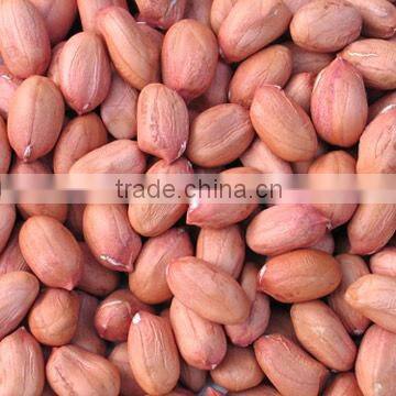 peanut kernels