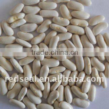 Yunnan Organic white kidney beans