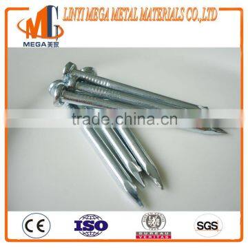 K Word Head Building Construction Steel Concrete Nail Electro Galvanized Diamond Point photo-4