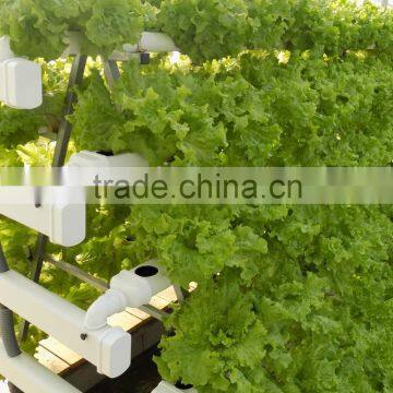 Hydroponic equipment and NFT channels