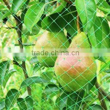 Light Weight Crop protection netting,butterfly netting