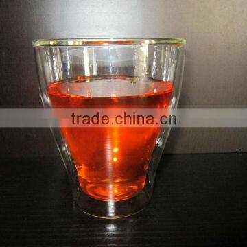 Double Wall Glass Tumbler