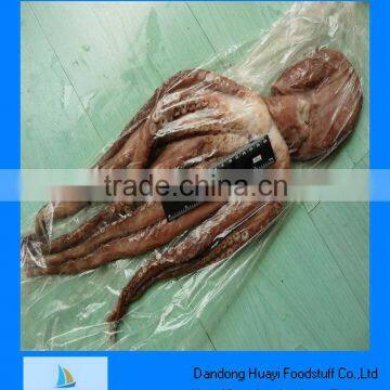 frozen whole clean octopus