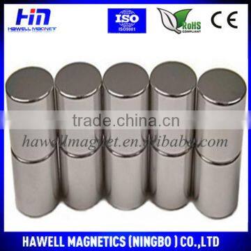 Custom Shape Neodymium Magnet coated with everlube