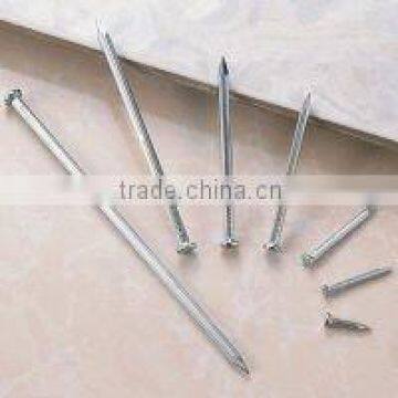 Electro galvanised common nail